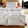 Brinkhaus Sapphire Hungarian Goose Down Rimmed Edge Quilt