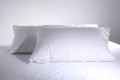 Comfysoft Microdown Pillow