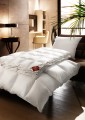 Brinkhaus European Goose Down Combi Quilt