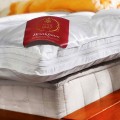 Brinkhaus Memory Foam and Goose Down Mattress Topper