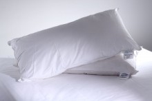 Comfysoft Microdown Bolster
