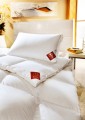 Brinkhaus Emerald Hungarian Goose Down 327 Count Cover Quilt
